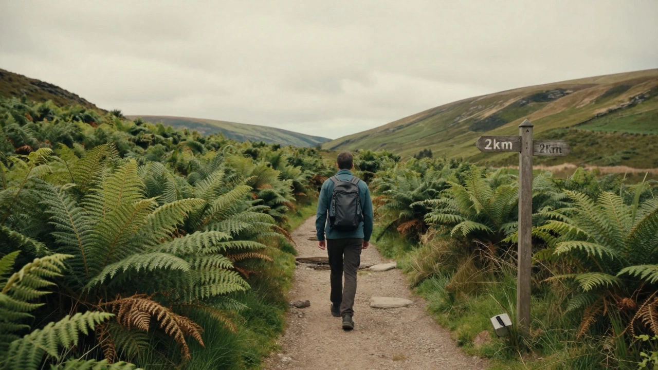 A walker on a green countryside trail approaching a wooden distance marker.